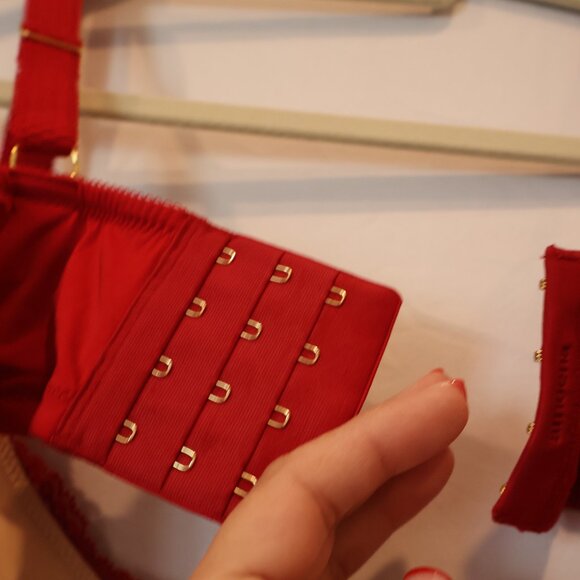 Red Lace Bra - Picture 4 of 5